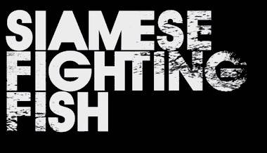 logo Siamese Fighting Fish